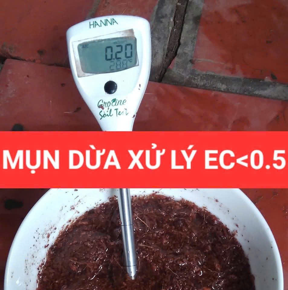 Kiểm định chất lượng